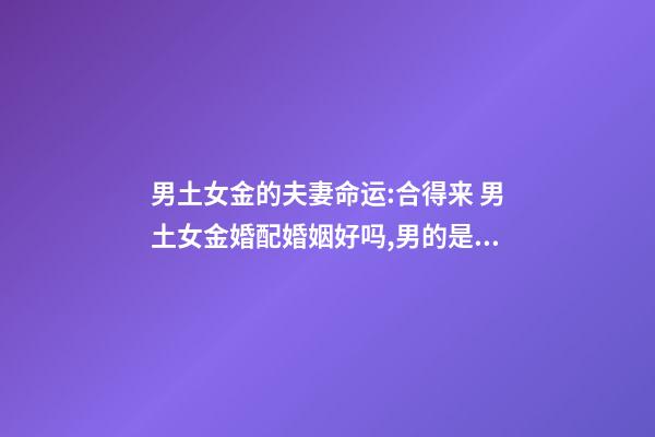 男土女金的夫妻命运:合得来 男土女金婚配婚姻好吗,男的是土命,女的是金命能不能结婚-第1张-观点-玄机派